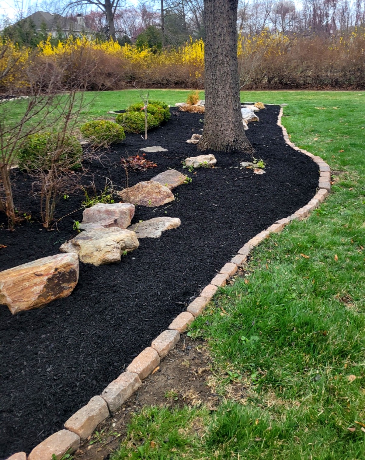 Mulching and edging service