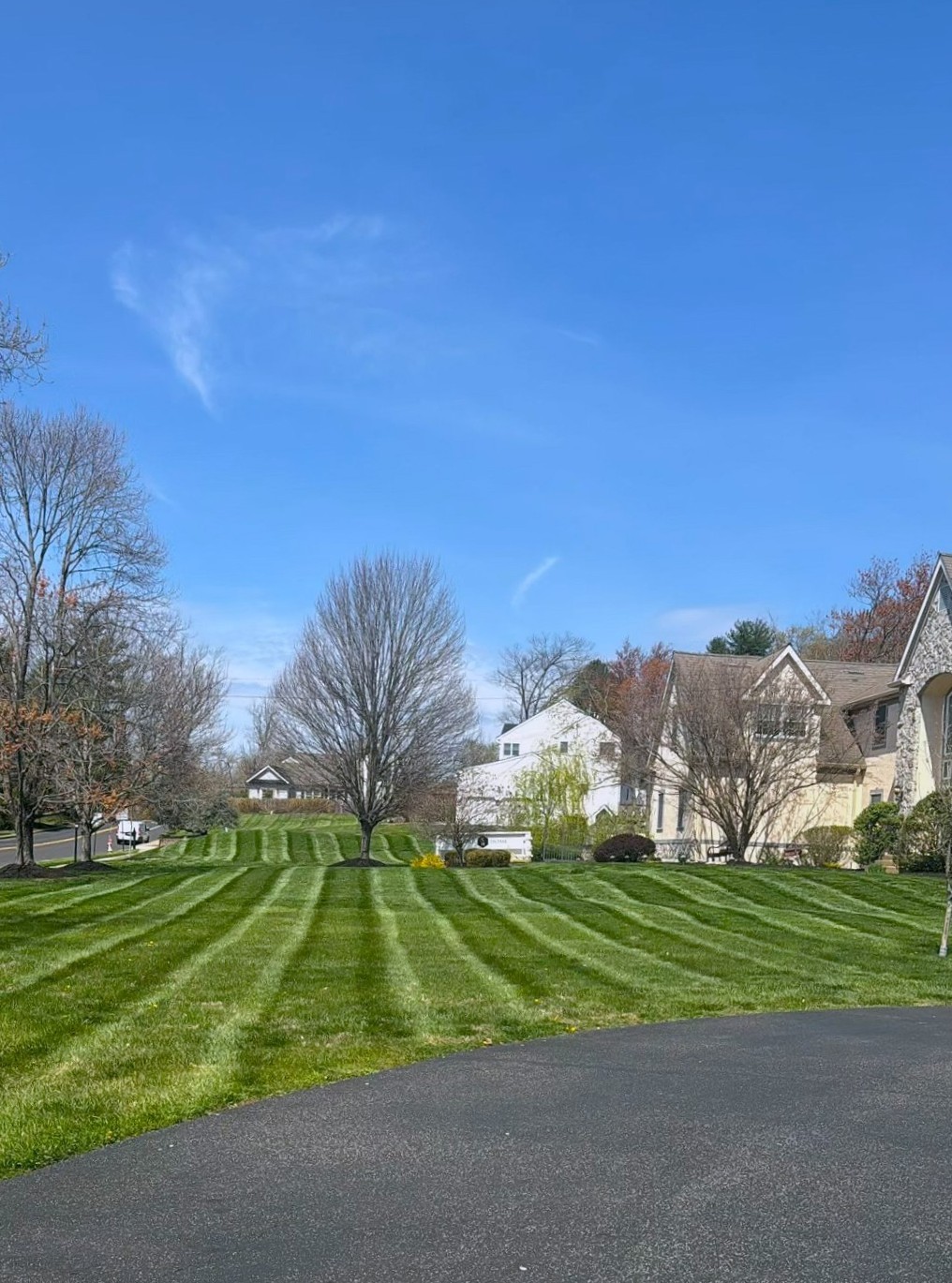 Striped lawn finish